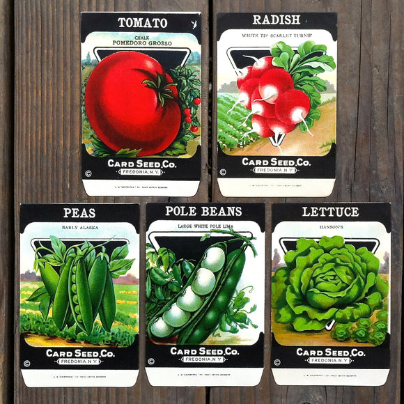 Seed Packets / Garden Memorabilia