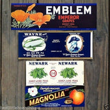 MILLION DOLLAR Citrus Crate Label Collection 1920s-60s