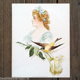 SYBIL SANDERSON SONGBIRD Victorian Lithograph Print 1903