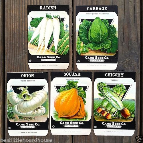 A Collection of 15 Vintage Vegetable Seed Packets – thelabelman