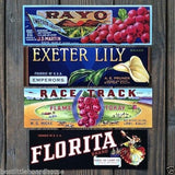 MILLION DOLLAR Citrus Crate Label Collection 1920s-60s