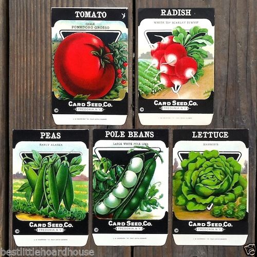 5 VEGETABLE SEED PACKS Set C Garden Collection 1920's – BestLittleHoardHouse