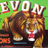LEVON CALIFORNIA MELONS Fruit Crate Box Label 1940s