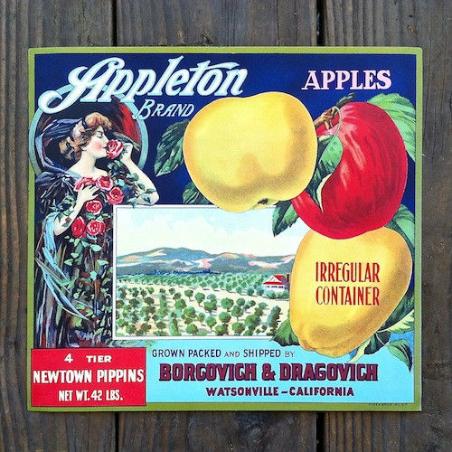 APPLETON APPLES Fruit Crate Box Label 1915