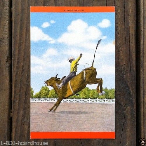 RODEO BRONCO COWBOY Postcard 1940s