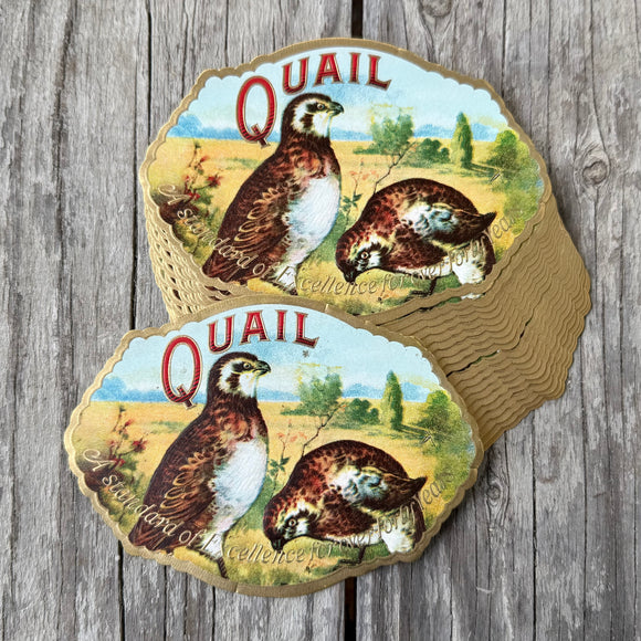 20 Vintage 1910s Embossed QUAIL Game Bird Tobacco CIGAR BOX Label WHOLESALE LOT