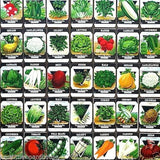 VEGETABLE SEED PACK Garden Collection 1920s