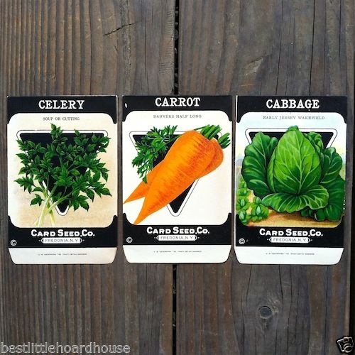 vintage garden seeds 5 VEGETABLE SEED PACKS Set B Garden Collection 1920's – BestLittleHoardHouse
