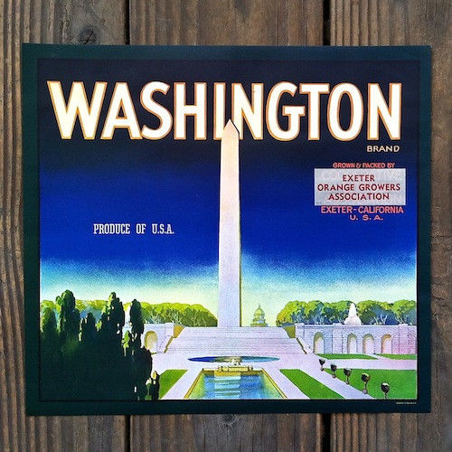 WASHINGTON MONUMENT Citrus Crate Box Label 