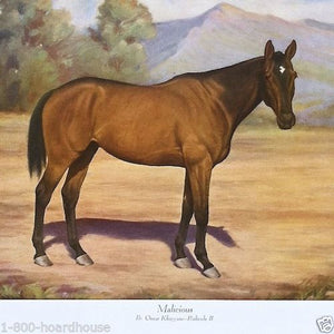 MALICIOUS HORSE Art Lithograph Print 1920s