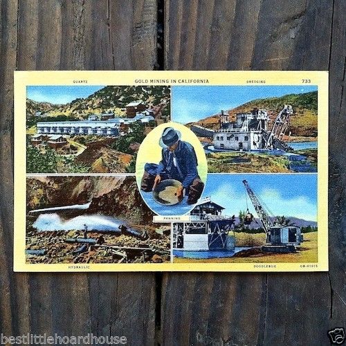CALIFORNIA GOLD MINER Linen Postcard 1930s