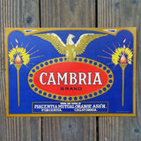 CAMBRIA  Fruit Crate Box Label 1940s