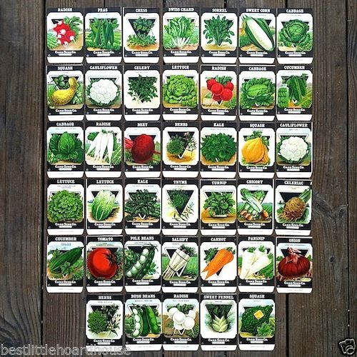 VEGETABLE SEED PACK Garden Collection 1920s