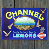 CHANNEL LEMON Citrus Crate Box Label 