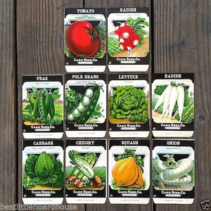 garden vegetable seed packets 10 VEGETABLE SEED PACKS Set G Garden Collection 1920's – BestLittleHoardHouse