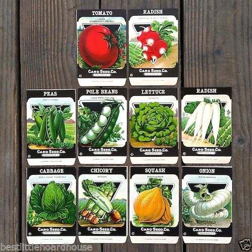 vintage garden seed packets 10 VEGETABLE SEED PACKS Set G Garden Collection 1920's – BestLittleHoardHouse