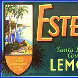 ESTERO LEMONS Citrus Crate Box Label