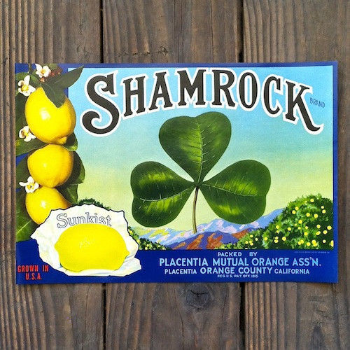 SHAMROCK SUNKIST LEMON Citrus Crate Box Label 1930s