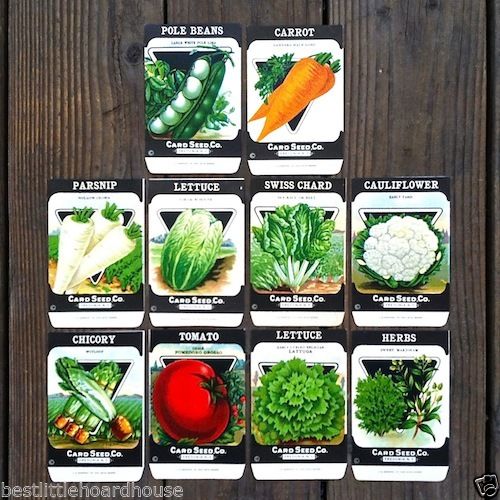 VEGETABLE SEED PACKS Set D Garden Collection 1920's