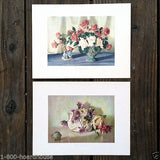 FLOWERS IN VASES Art Lithograph Card Prints 1940s