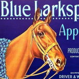 BLUE LARKSPUR APPLES Fruit Box Crate Label 