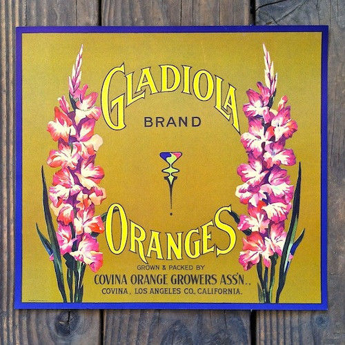GLADIOLA ORANGES Citrus Crate Box Label