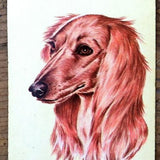 SALUKI DOGS Playing Cards 1940s