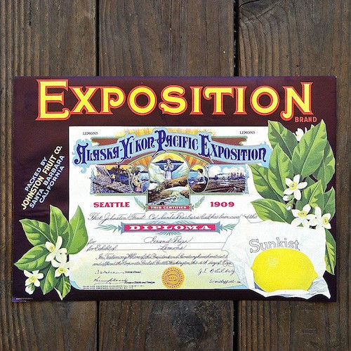 EXPOSITION LEMON SUNKIST Citrus Crate Box Label 1940s