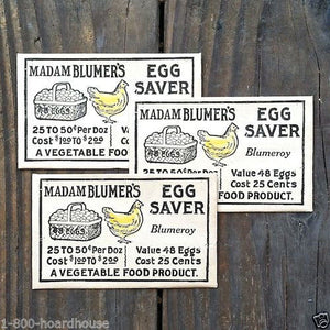 MADAM BLUMERS Egg Saver Envelope 1910s 
