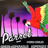 PARROT GREEN ASPARAGUS Vegetable Crate Box Label 1970s