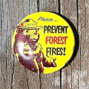 SMOKEY THE BEAR Prevent Forest Fires Pin 1960s