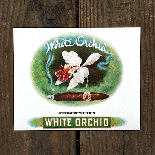 WHITE ORCHID Cigar Box Top Label 1910s