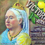 QUEEN VICTORIA LEMON Citrus Crate Fruit Label 1920s