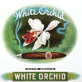 WHITE ORCHID Cigar Box Top Label 1910s