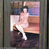 Darlene Devine 1950s BURLESQUE PINUP Collectible Cards 