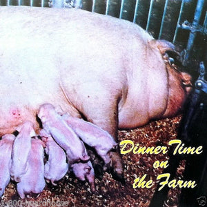 DINNER TIME ON FARM Pig Postcards 1970s