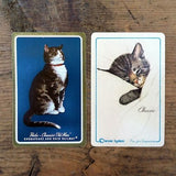 2 CHESSIE RAILROAD Playing Cards 