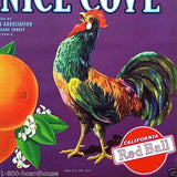 VENICE COVE Citrus Crate Box Fruit Label 1930s