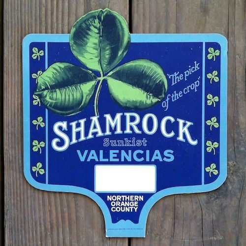 SHAMROCK SUNKIST Oranges Store Display Topper 1930s – BestLittleHoardHouse